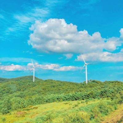【应用案例】极耳撕裂&翻折外观...